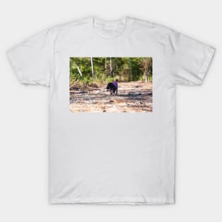 Queen of the Suburban jungle T-Shirt